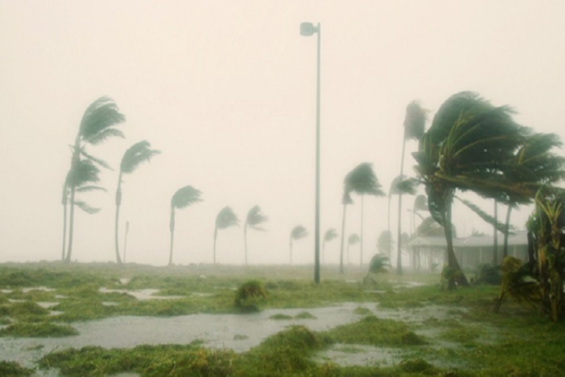 Indeci Recomienda Medidas De Preparación Ante Aumento De Velocidad Del Viento En La Selva 2233