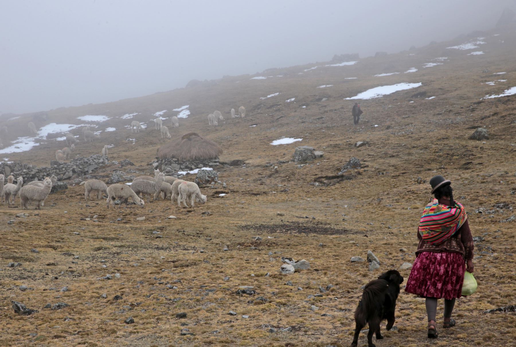 Baja Temperatura Nocturna 211 Distritos De La Sierra Centro Y Sur En Riesgo De Afectación 